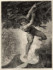 odyssey hanging from the fig tree thumbnail